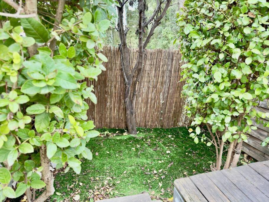 Maison Au Calme 2 Chambres Terrasse Clim Parking Gratuit 蒙彼利埃 外观 照片